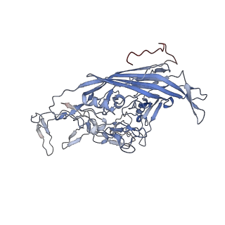23107_7l0x_f_v1-2
Human Bocavirus 2 (pH 2.6)