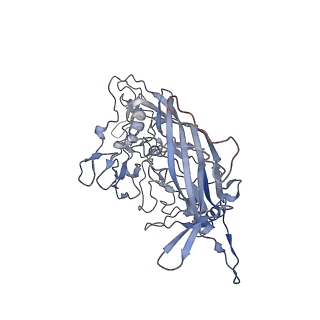 23107_7l0x_i_v1-2
Human Bocavirus 2 (pH 2.6)