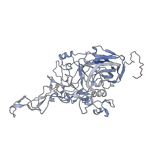 23107_7l0x_k_v1-2
Human Bocavirus 2 (pH 2.6)