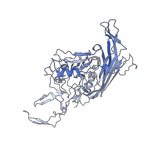 23107_7l0x_m_v1-2
Human Bocavirus 2 (pH 2.6)