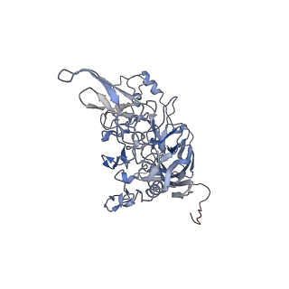 23107_7l0x_n_v1-2
Human Bocavirus 2 (pH 2.6)