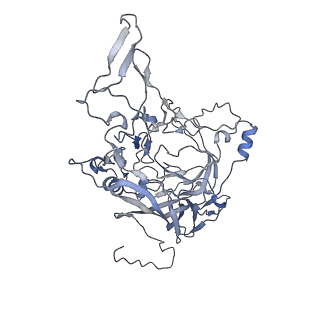 23107_7l0x_p_v1-2
Human Bocavirus 2 (pH 2.6)
