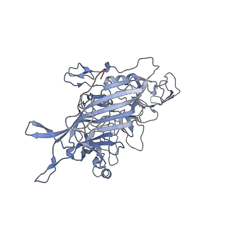 23107_7l0x_x_v1-2
Human Bocavirus 2 (pH 2.6)