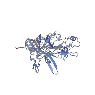 23107_7l0x_z_v1-2
Human Bocavirus 2 (pH 2.6)