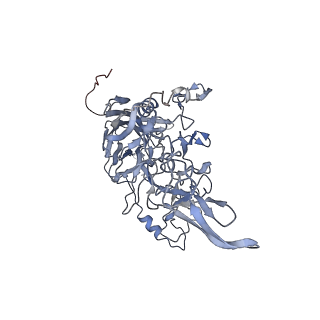 23108_7l0y_3_v1-2
Human Bocavirus 1 (pH 2.6)