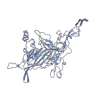 23108_7l0y_G_v1-2
Human Bocavirus 1 (pH 2.6)