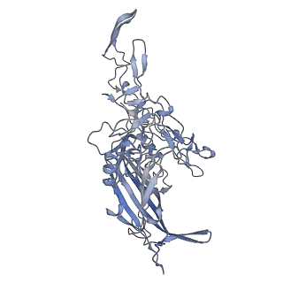 23108_7l0y_J_v1-2
Human Bocavirus 1 (pH 2.6)