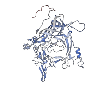23108_7l0y_V_v1-2
Human Bocavirus 1 (pH 2.6)