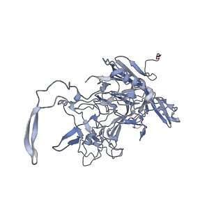 23108_7l0y_X_v1-2
Human Bocavirus 1 (pH 2.6)