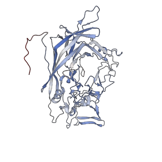 23108_7l0y_Z_v1-2
Human Bocavirus 1 (pH 2.6)