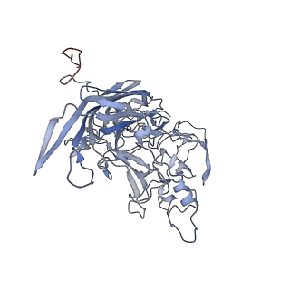 23108_7l0y_h_v1-2
Human Bocavirus 1 (pH 2.6)