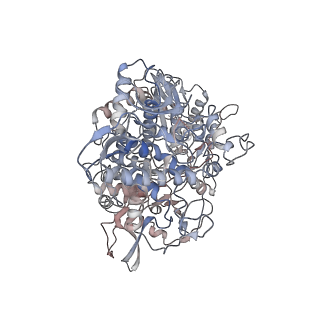 23109_7l1f_A_v1-2
SARS-CoV-2 RdRp in complex with 4 Remdesivir monophosphate