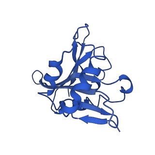 23110_7l1k_A_v1-2
Cryo-EM structure of S. Pombe NatC complex with a Bisubstrate inhibitor and inositol hexaphosphate