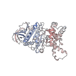 23115_7l1q_A_v1-2
PS3 F1-ATPase Binding/TS Dwell