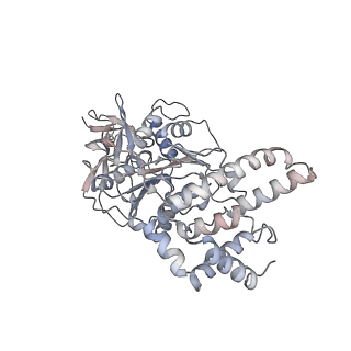 23115_7l1q_C_v1-2
PS3 F1-ATPase Binding/TS Dwell