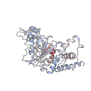 23115_7l1q_F_v1-2
PS3 F1-ATPase Binding/TS Dwell
