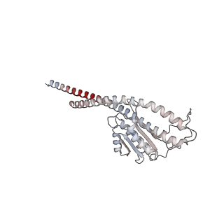 23115_7l1q_G_v1-2
PS3 F1-ATPase Binding/TS Dwell