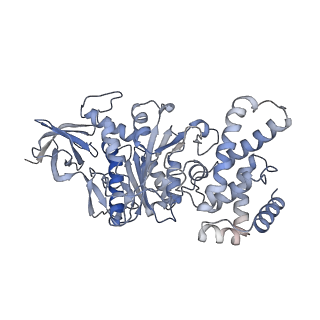 23116_7l1r_A_v1-2
PS3 F1-ATPase Hydrolysis Dwell