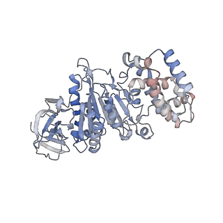 23116_7l1r_B_v1-2
PS3 F1-ATPase Hydrolysis Dwell