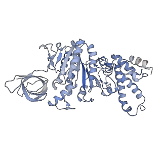 23116_7l1r_F_v1-2
PS3 F1-ATPase Hydrolysis Dwell