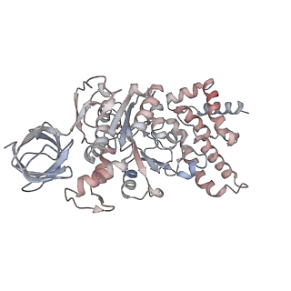 23117_7l1s_A_v1-2
PS3 F1-ATPase Pi-bound Dwell