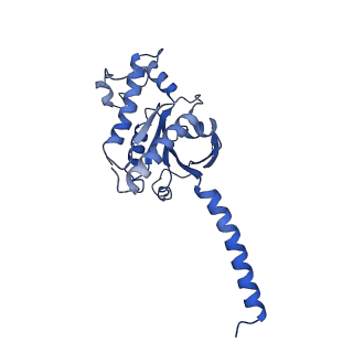 23118_7l1u_A_v1-1
Orexin Receptor 2 (OX2R) in Complex with G Protein and Natural Peptide-Agonist Orexin B (OxB)