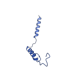 23118_7l1u_C_v1-1
Orexin Receptor 2 (OX2R) in Complex with G Protein and Natural Peptide-Agonist Orexin B (OxB)