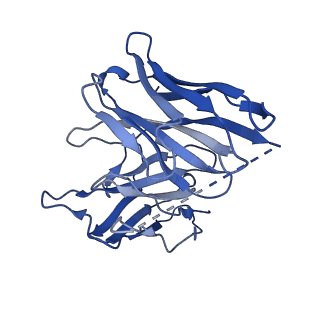 23118_7l1u_H_v1-1
Orexin Receptor 2 (OX2R) in Complex with G Protein and Natural Peptide-Agonist Orexin B (OxB)