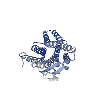 23118_7l1u_R_v1-1
Orexin Receptor 2 (OX2R) in Complex with G Protein and Natural Peptide-Agonist Orexin B (OxB)