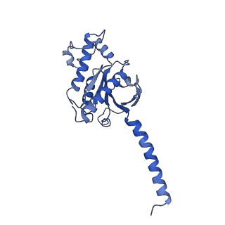 23119_7l1v_A_v1-1
Orexin Receptor 2 (OX2R) in Complex with G Protein and Small-Molecule Agonist Compound 1