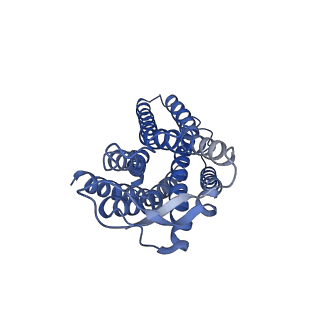23119_7l1v_R_v1-1
Orexin Receptor 2 (OX2R) in Complex with G Protein and Small-Molecule Agonist Compound 1