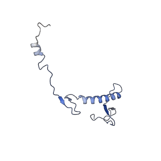 23121_7l20_0_v1-1
Cryo-EM structure of the human 39S mitoribosomal subunit in complex with RRFmt and EF-G2mt.