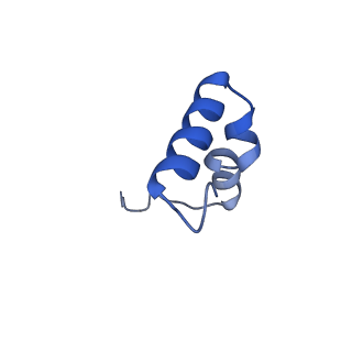 23121_7l20_2_v1-1
Cryo-EM structure of the human 39S mitoribosomal subunit in complex with RRFmt and EF-G2mt.