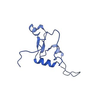 23121_7l20_3_v1-1
Cryo-EM structure of the human 39S mitoribosomal subunit in complex with RRFmt and EF-G2mt.
