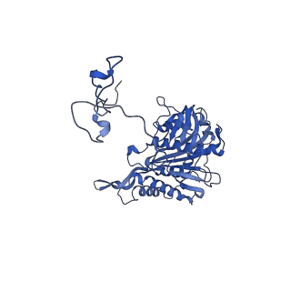 23121_7l20_5_v1-1
Cryo-EM structure of the human 39S mitoribosomal subunit in complex with RRFmt and EF-G2mt.