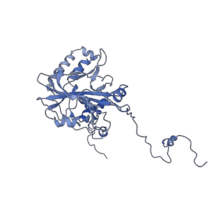 23121_7l20_6_v1-1
Cryo-EM structure of the human 39S mitoribosomal subunit in complex with RRFmt and EF-G2mt.