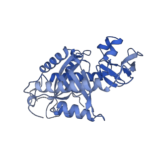 23121_7l20_7_v1-1
Cryo-EM structure of the human 39S mitoribosomal subunit in complex with RRFmt and EF-G2mt.