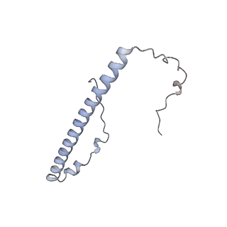23121_7l20_8_v1-1
Cryo-EM structure of the human 39S mitoribosomal subunit in complex with RRFmt and EF-G2mt.