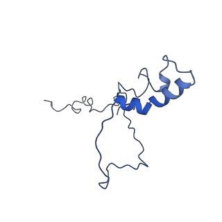 23121_7l20_9_v1-1
Cryo-EM structure of the human 39S mitoribosomal subunit in complex with RRFmt and EF-G2mt.