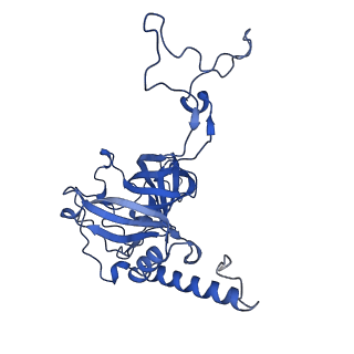 23121_7l20_E_v1-1
Cryo-EM structure of the human 39S mitoribosomal subunit in complex with RRFmt and EF-G2mt.
