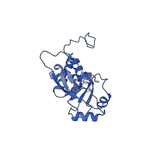 23121_7l20_F_v1-1
Cryo-EM structure of the human 39S mitoribosomal subunit in complex with RRFmt and EF-G2mt.