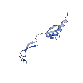 23121_7l20_H_v1-1
Cryo-EM structure of the human 39S mitoribosomal subunit in complex with RRFmt and EF-G2mt.