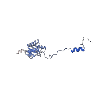 23121_7l20_I_v1-1
Cryo-EM structure of the human 39S mitoribosomal subunit in complex with RRFmt and EF-G2mt.