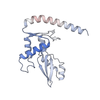 23121_7l20_J_v1-1
Cryo-EM structure of the human 39S mitoribosomal subunit in complex with RRFmt and EF-G2mt.