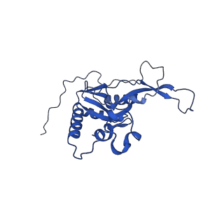 23121_7l20_N_v1-1
Cryo-EM structure of the human 39S mitoribosomal subunit in complex with RRFmt and EF-G2mt.