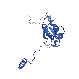 23121_7l20_O_v1-1
Cryo-EM structure of the human 39S mitoribosomal subunit in complex with RRFmt and EF-G2mt.
