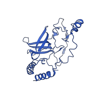 23121_7l20_Q_v1-1
Cryo-EM structure of the human 39S mitoribosomal subunit in complex with RRFmt and EF-G2mt.