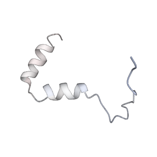 23121_7l20_TA_v1-1
Cryo-EM structure of the human 39S mitoribosomal subunit in complex with RRFmt and EF-G2mt.