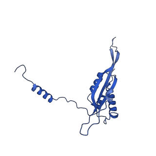 23121_7l20_T_v1-1
Cryo-EM structure of the human 39S mitoribosomal subunit in complex with RRFmt and EF-G2mt.
