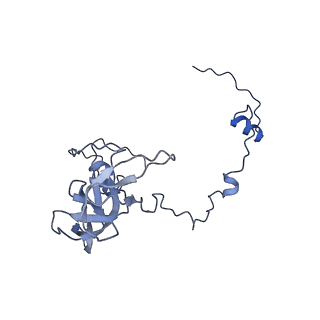 23121_7l20_V_v1-1
Cryo-EM structure of the human 39S mitoribosomal subunit in complex with RRFmt and EF-G2mt.